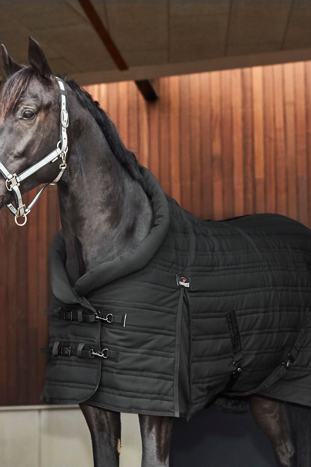 CATAGO Hybrid Stable rug 200g