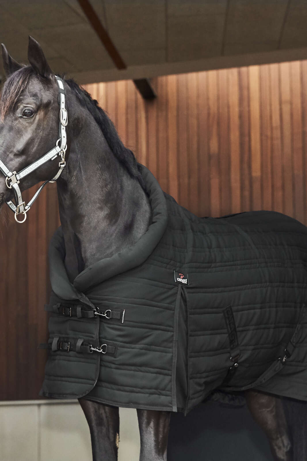 CATAGO Hybrid Stalldecke 200g