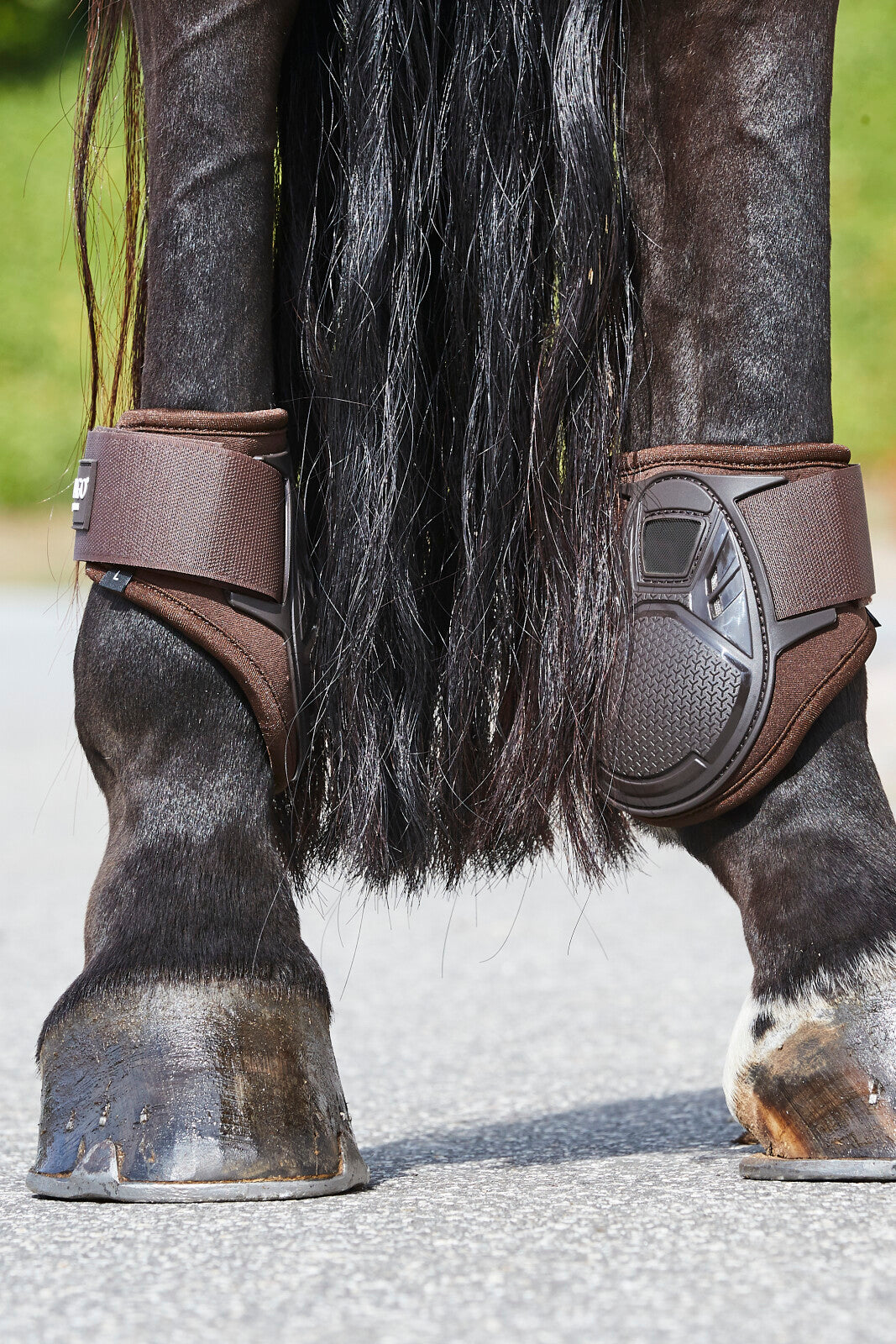 CATAGO Hybrid young horse fetlock boots