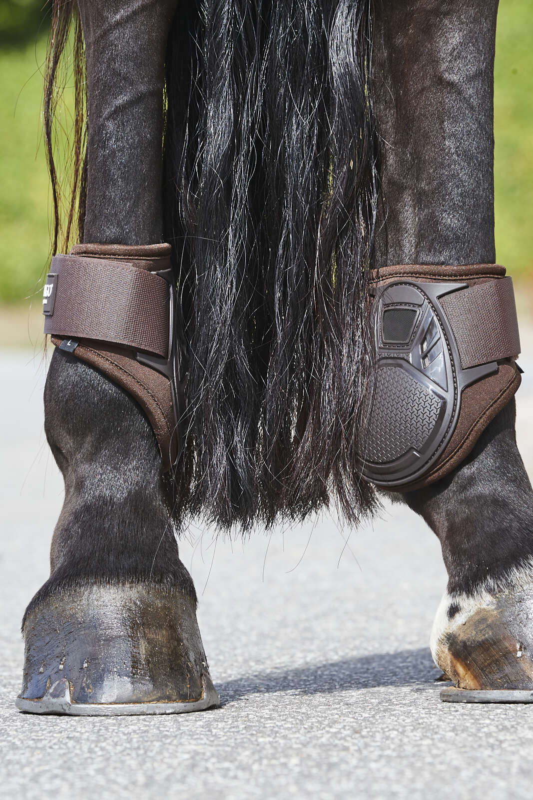CATAGO Hybrid young horse fetlock boots