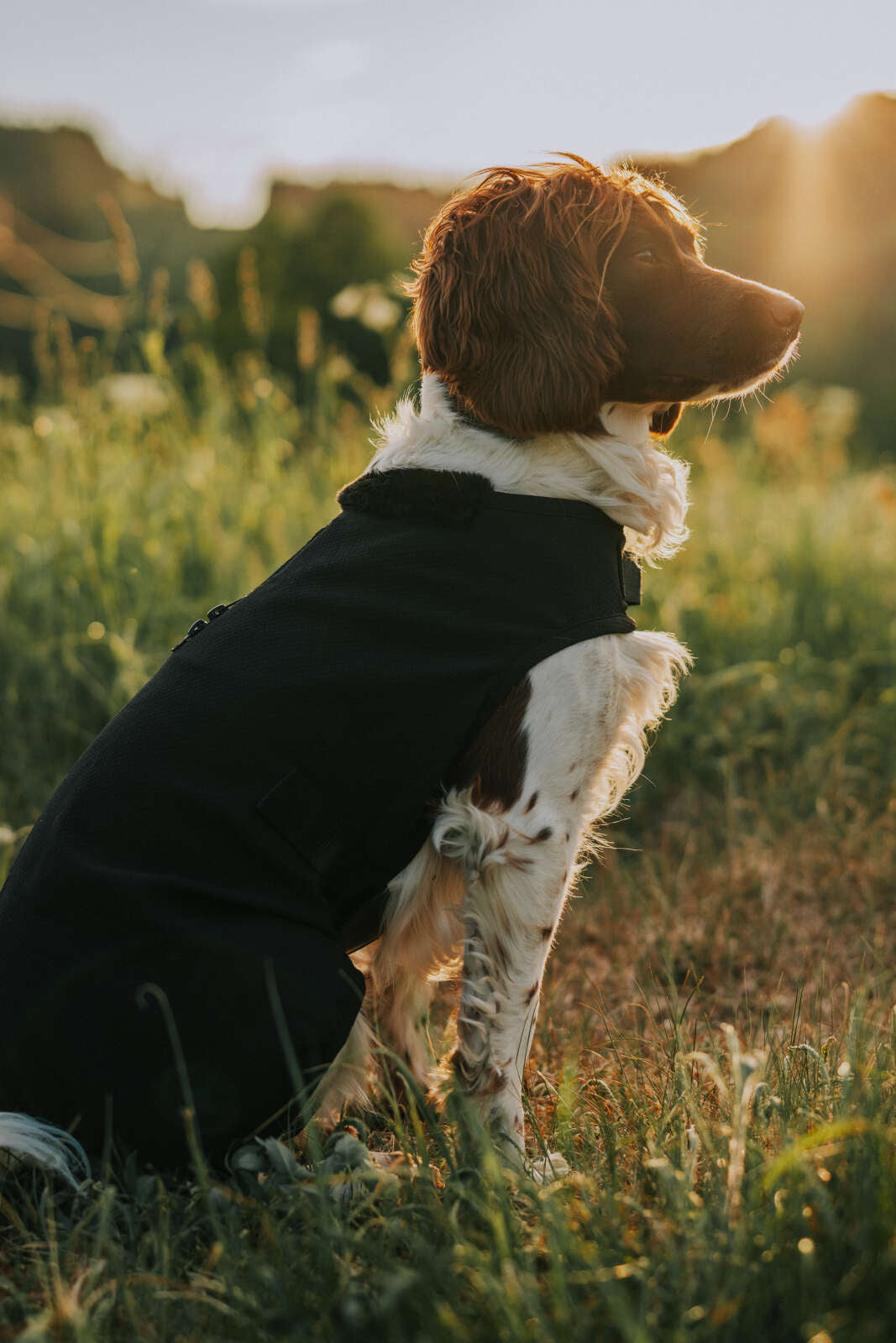 CATAGO Hybrid hundtäcke