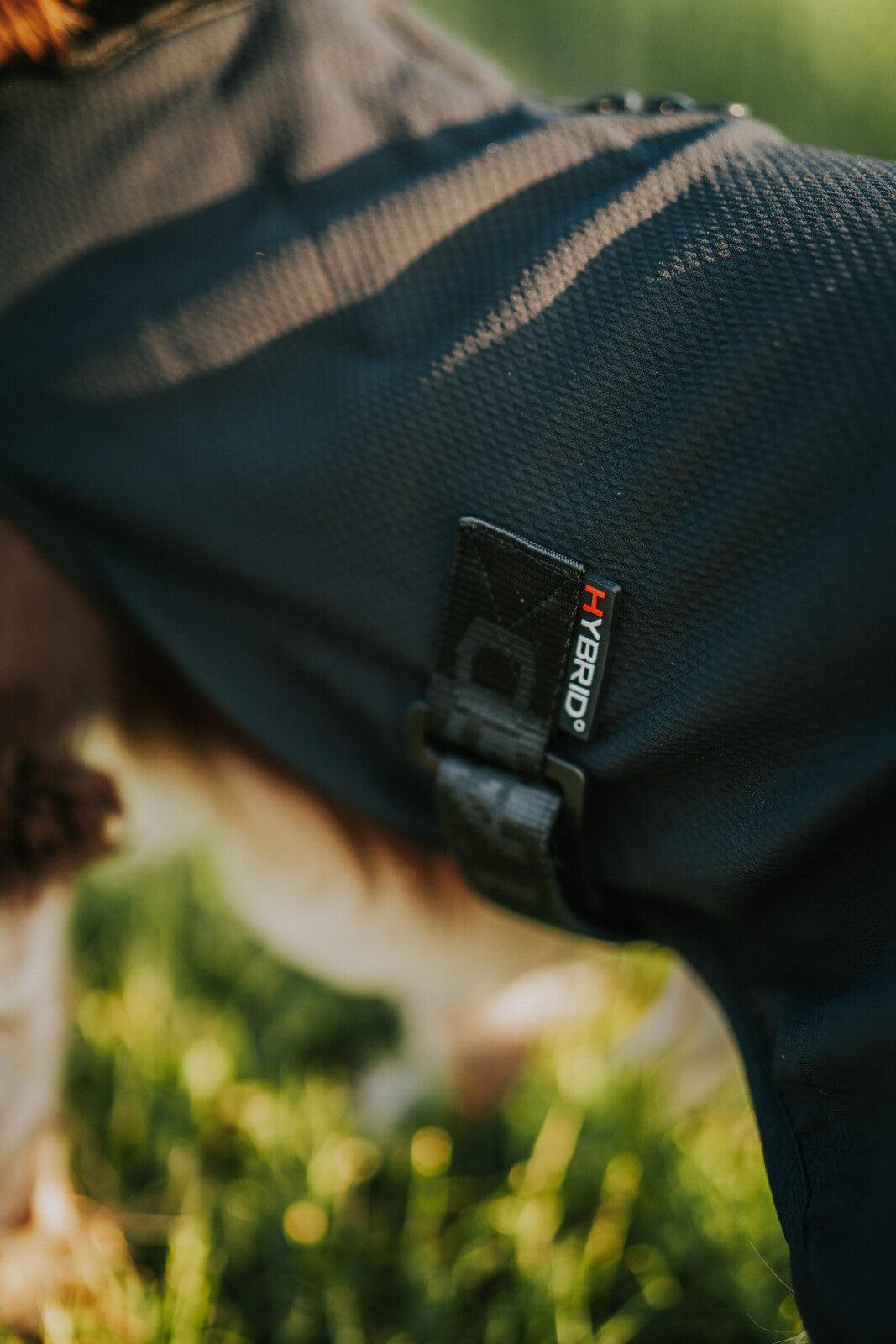 CATAGO Hybrid Hunde Decke