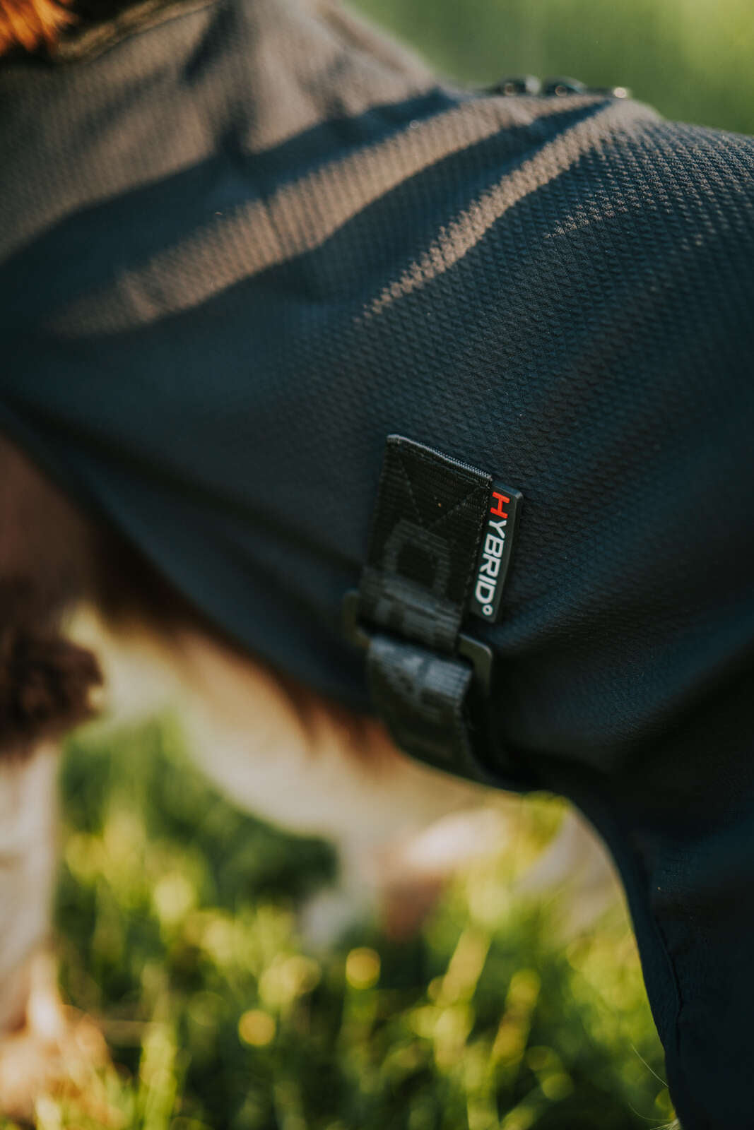 CATAGO Hybrid dog rug