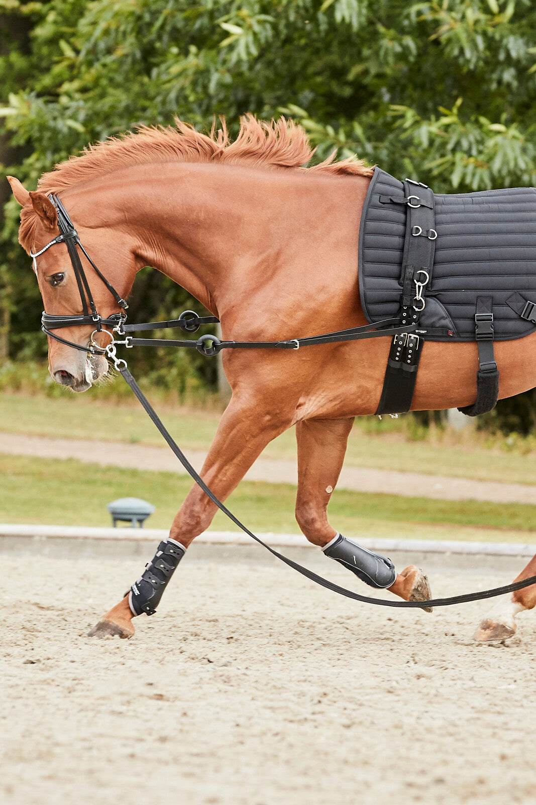 CATAGO HYBRID Training saddle pad with elastic