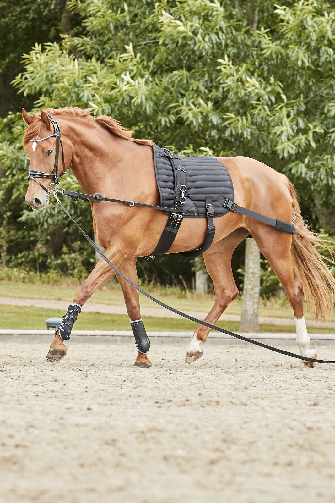 CATAGO Hybrid Training Pad w/ Elastics, Dressage