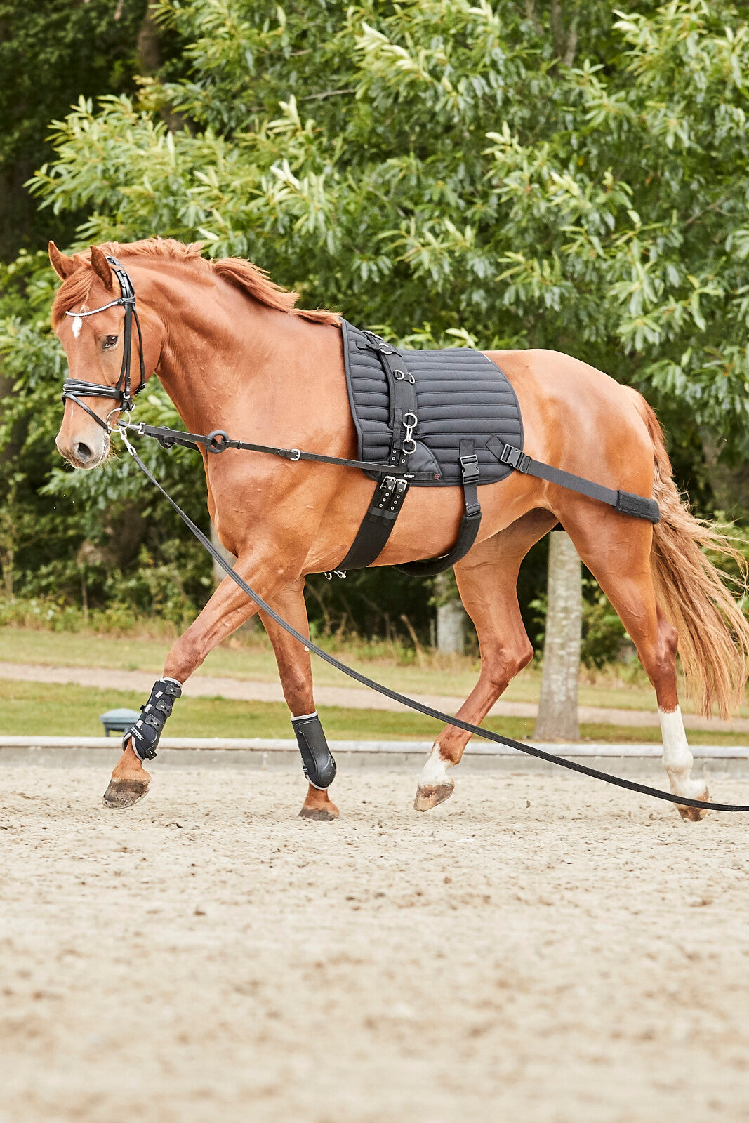 CATAGO HYBRID Training saddle pad with elastic