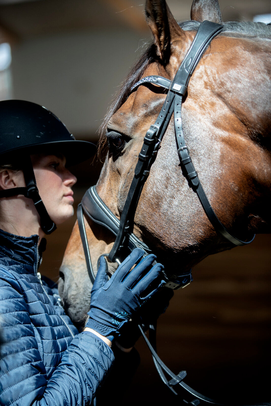 HorseGuard Cryll 25.1 bridle with pull-back and flash