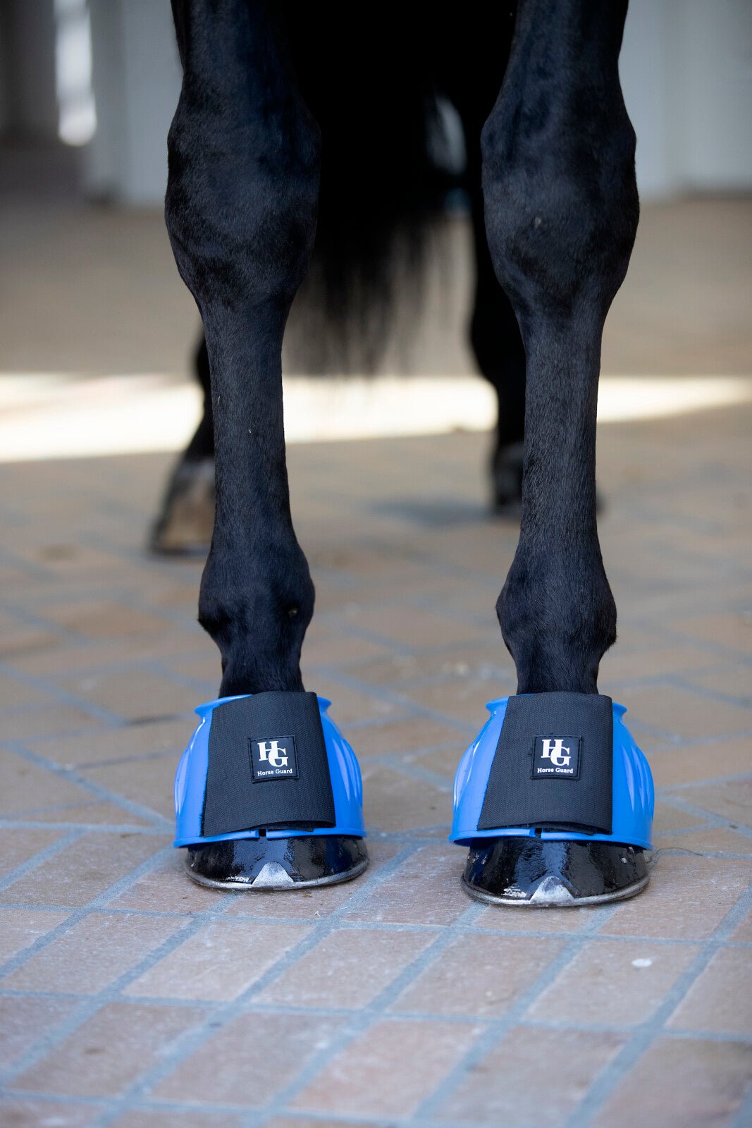 HorseGuard Tamsin bell boots - Unamari