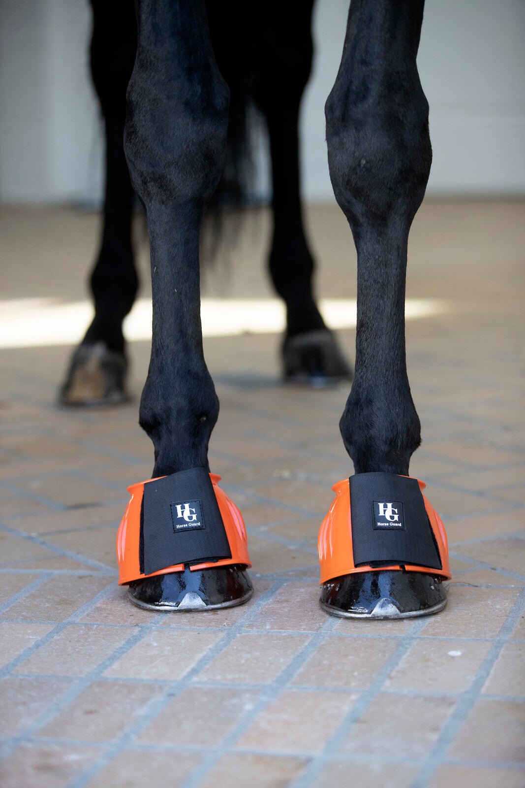 HorseGuard Tamsin bell boots - Unamari