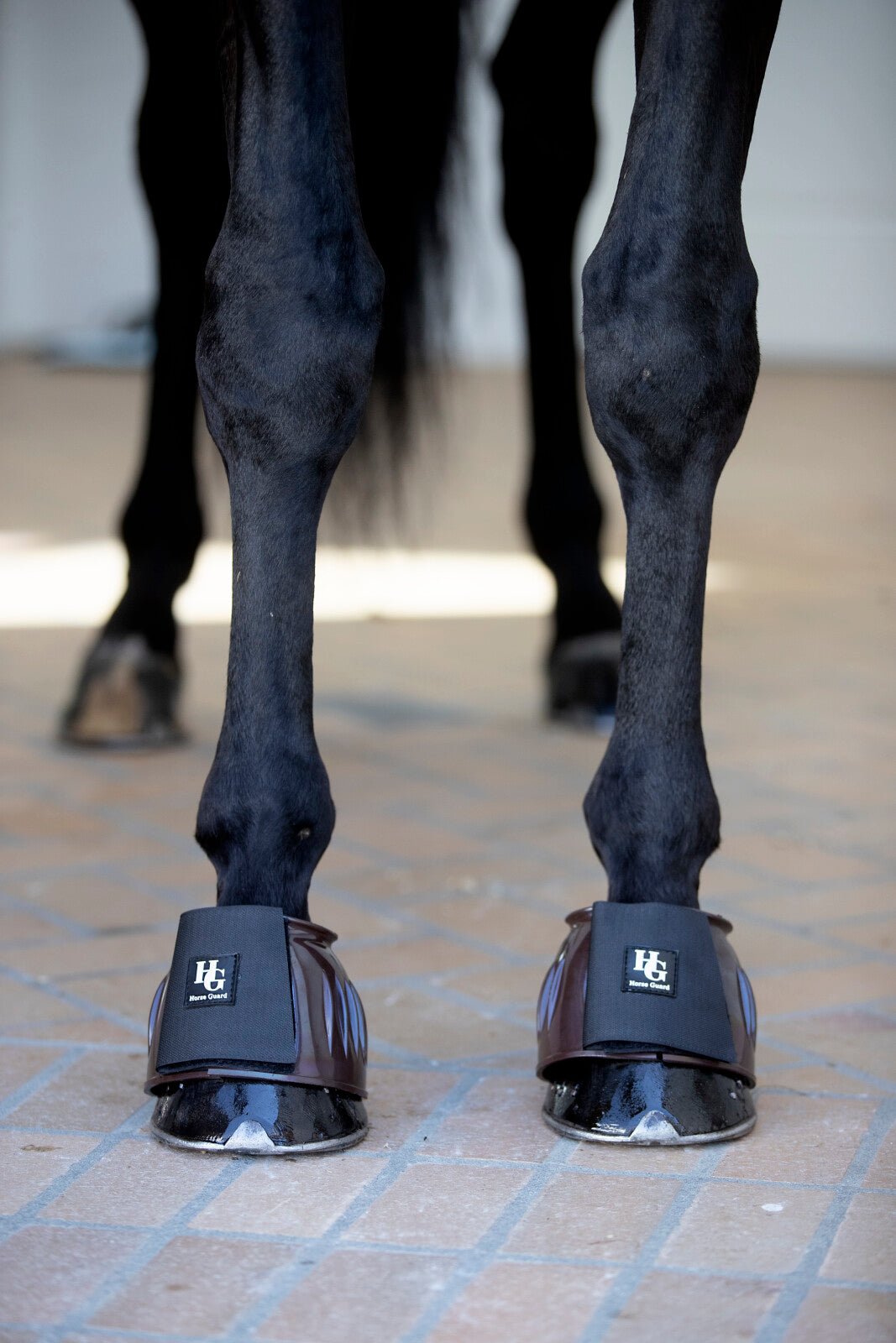 HorseGuard Tamsin bell boots - Unamari