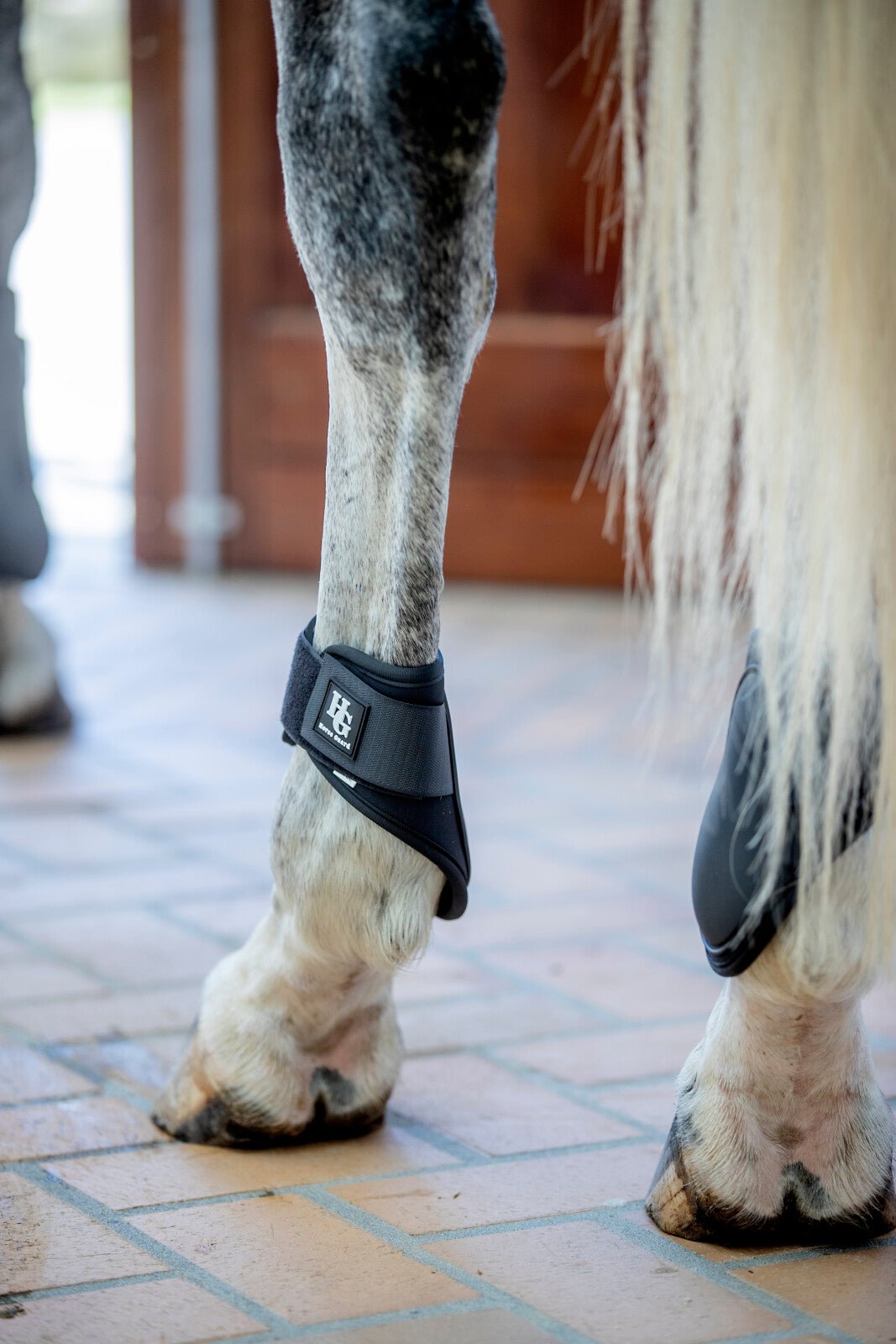 HorseGuard Tary fetlock boots - Unamari