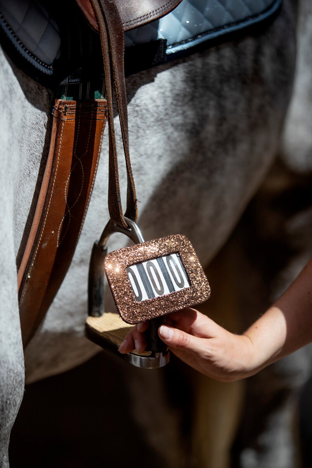 HorseGuard Competition number - Unamari