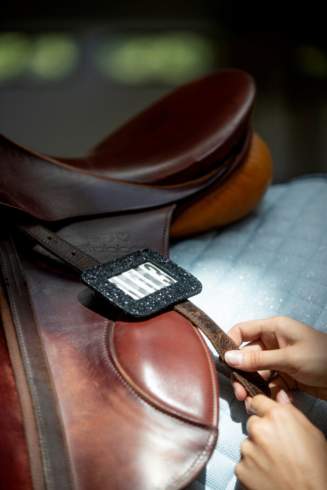 HorseGuard Competition number - Unamari