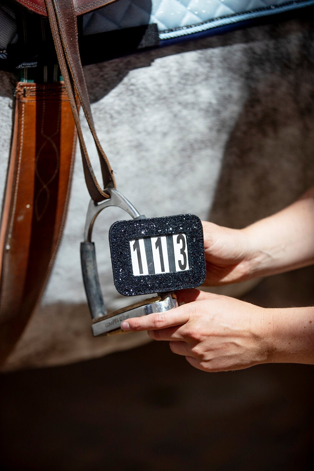 HorseGuard Competition number - Unamari