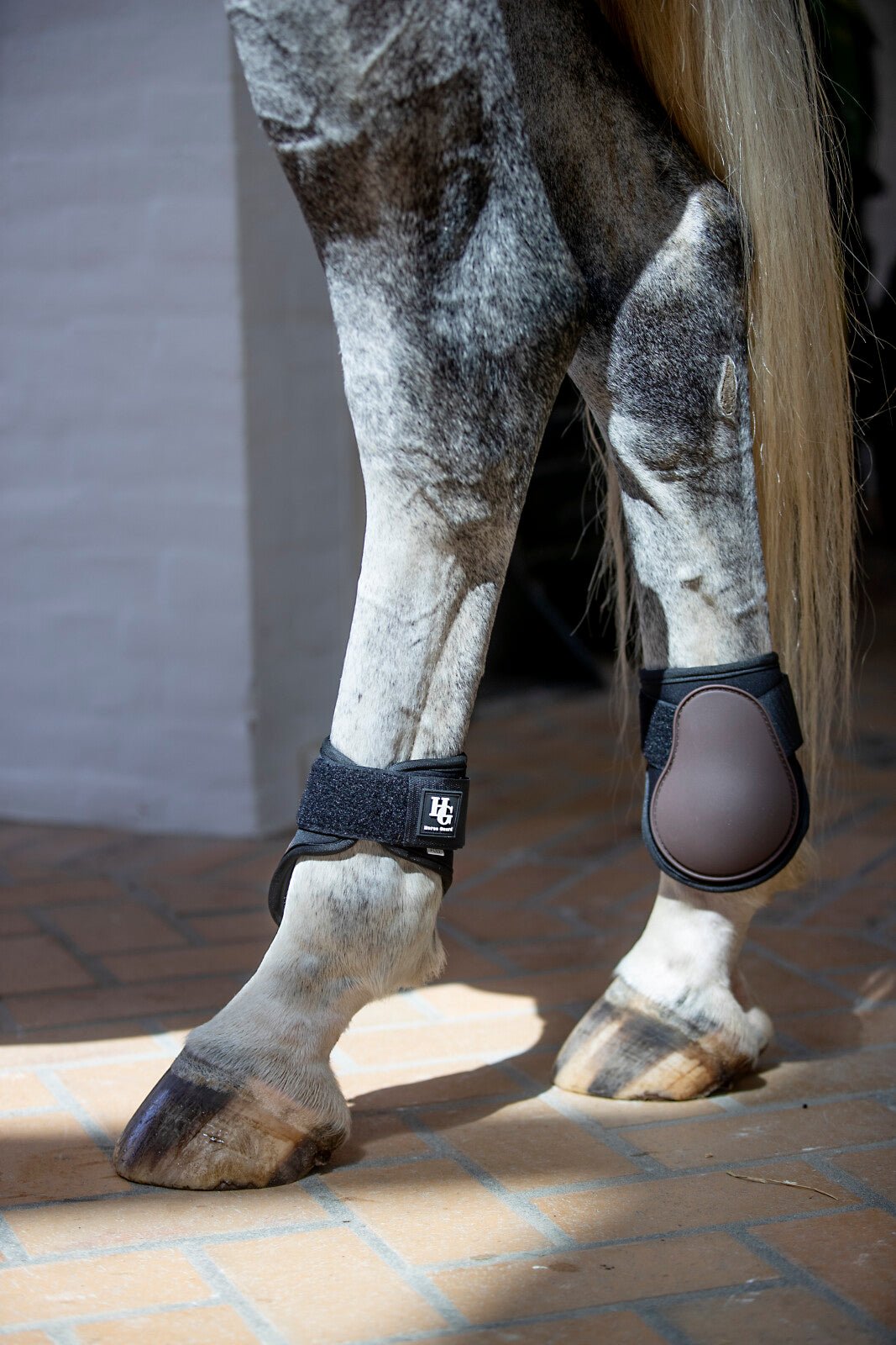 HorseGuard Tary fetlock boots - Unamari