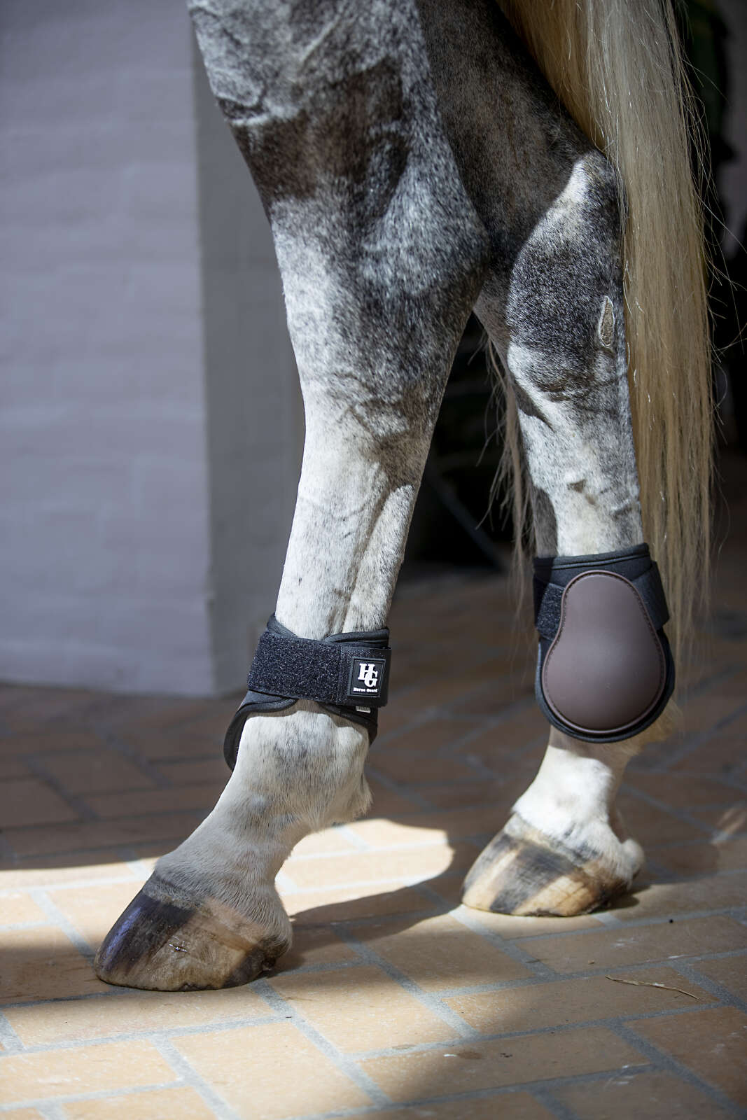 Horse Guard Tary bakbeinsbelegg