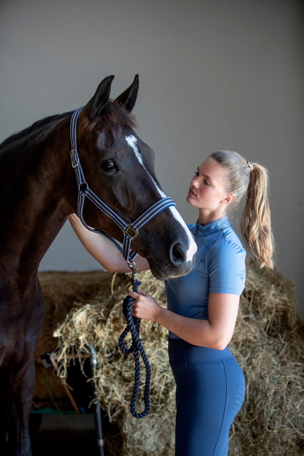 HorseGuard Taro halter - Unamari