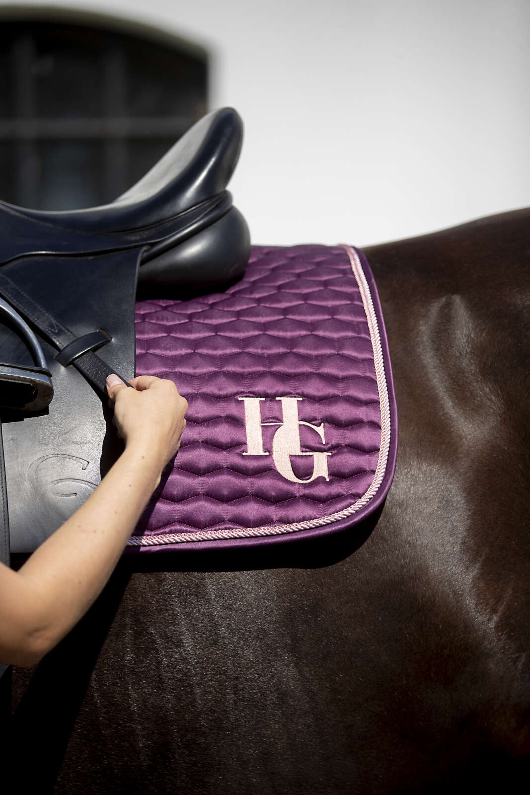 Horse Guard Taleen dressursjabrak