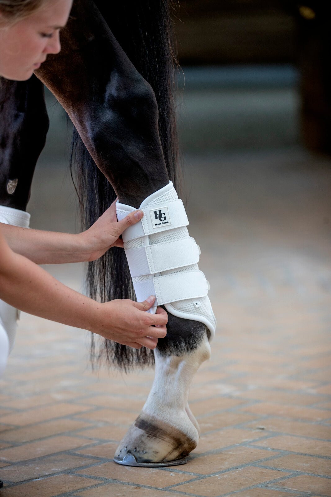 HorseGuard Timothy mesh dressage boots - Unamari