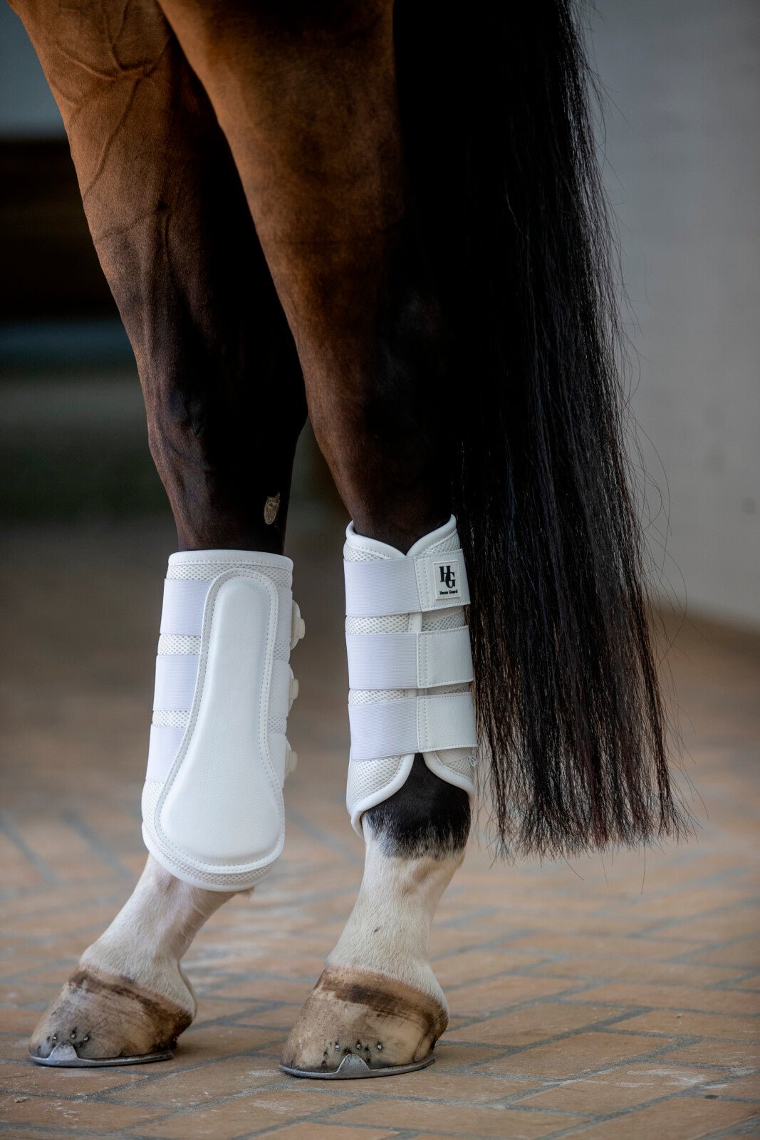 HorseGuard Timothy mesh dressage boots - Unamari