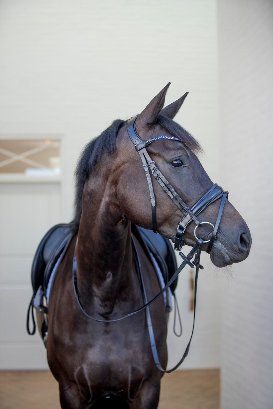 CATAGO Tori Bridle - Unamari