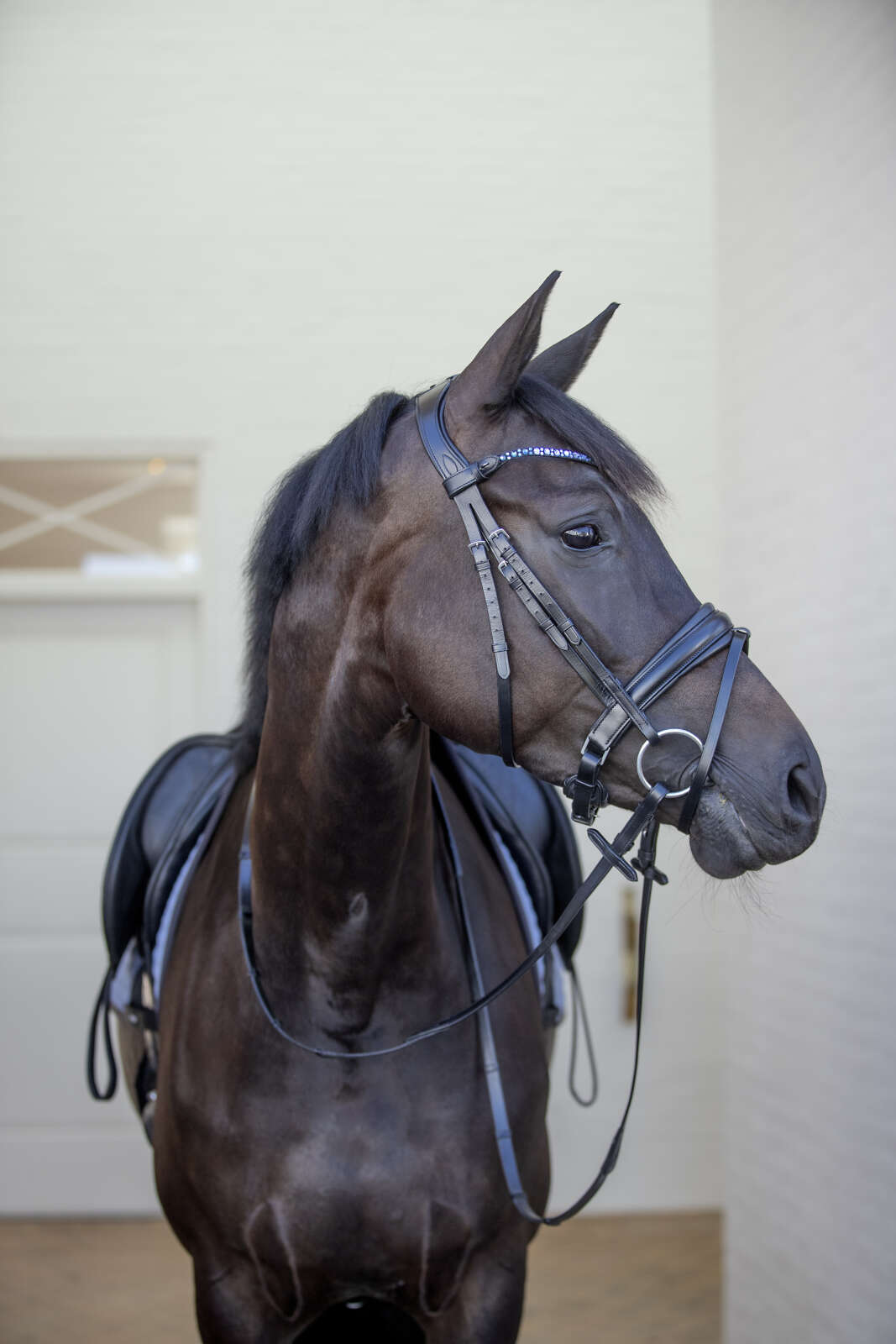 CATAGO Tori Bridle with crystal browband