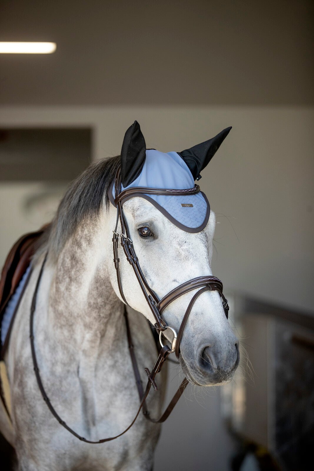 CATAGO Torina Bridle - Unamari