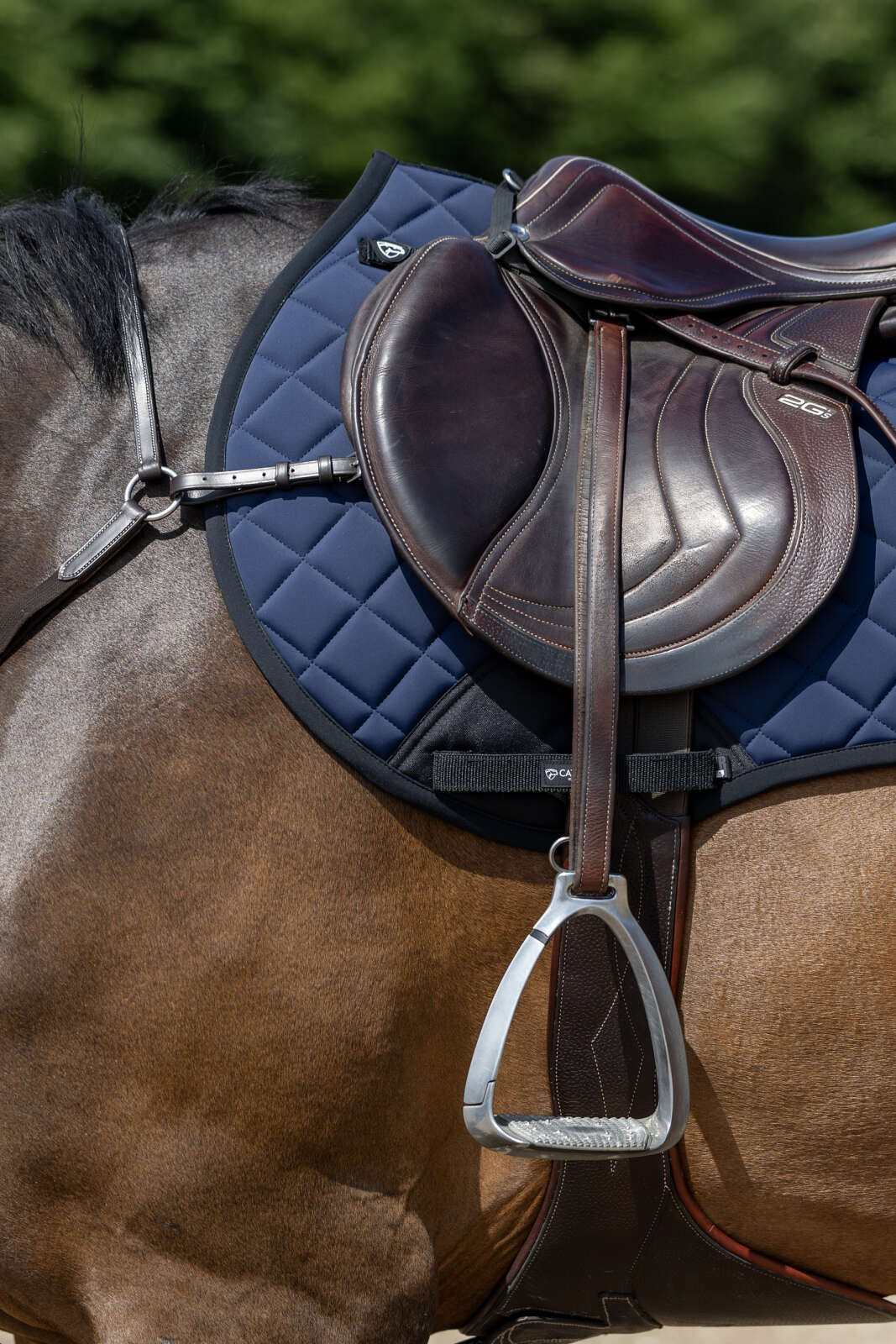 Catago FIR-Tech Grand 2.0 saddle pad, jumping
