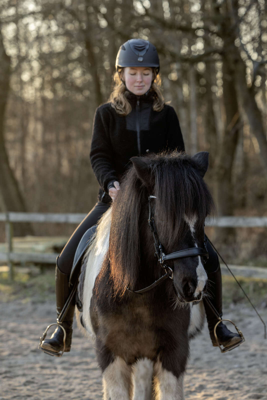 CATAGO Gentle noseband with connection rings