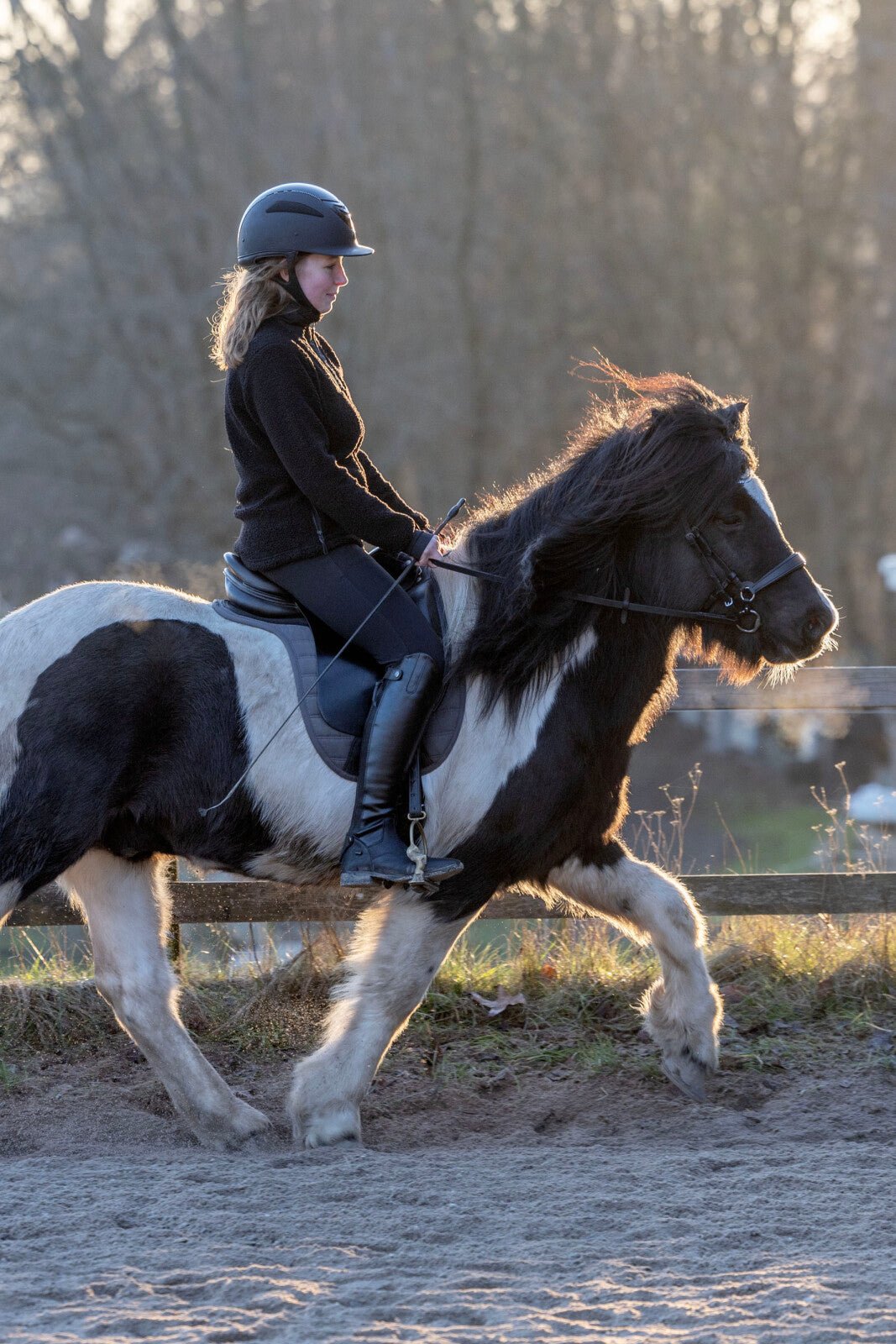 CATAGO Gentle noseband with connection rings - Unamari