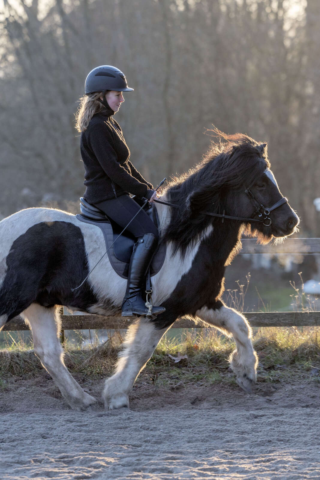 CATAGO Gentle noseband with connection rings