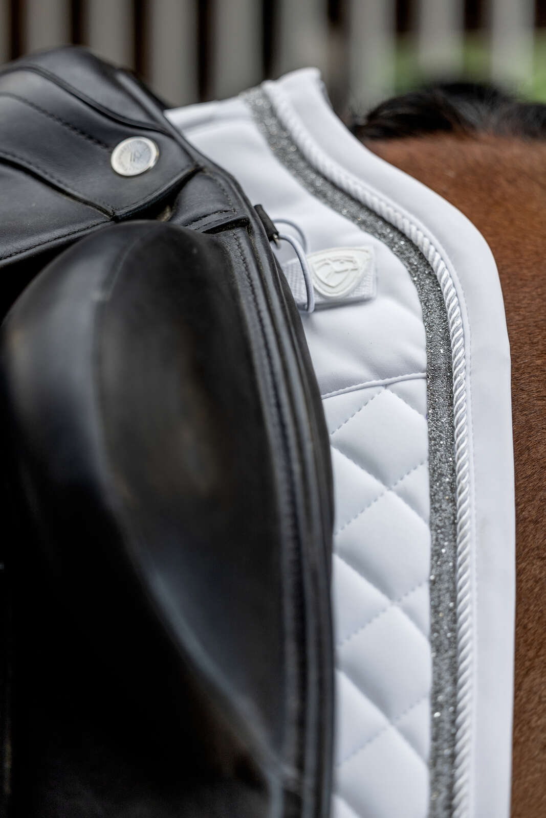 Catago Treasure 2.0 saddle pad, dressage