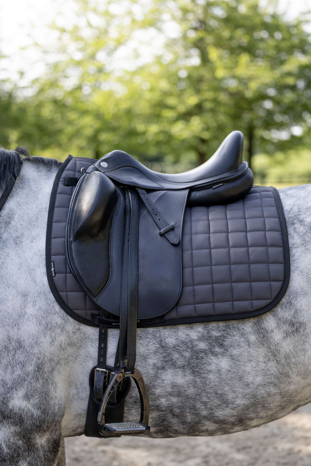 Horse Guard Alvi saddle pad, dressage