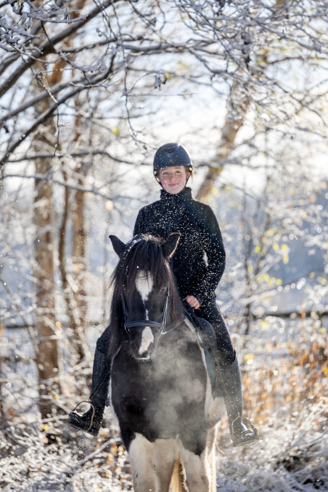 CATAGO Icelandic drop noseband - Unamari