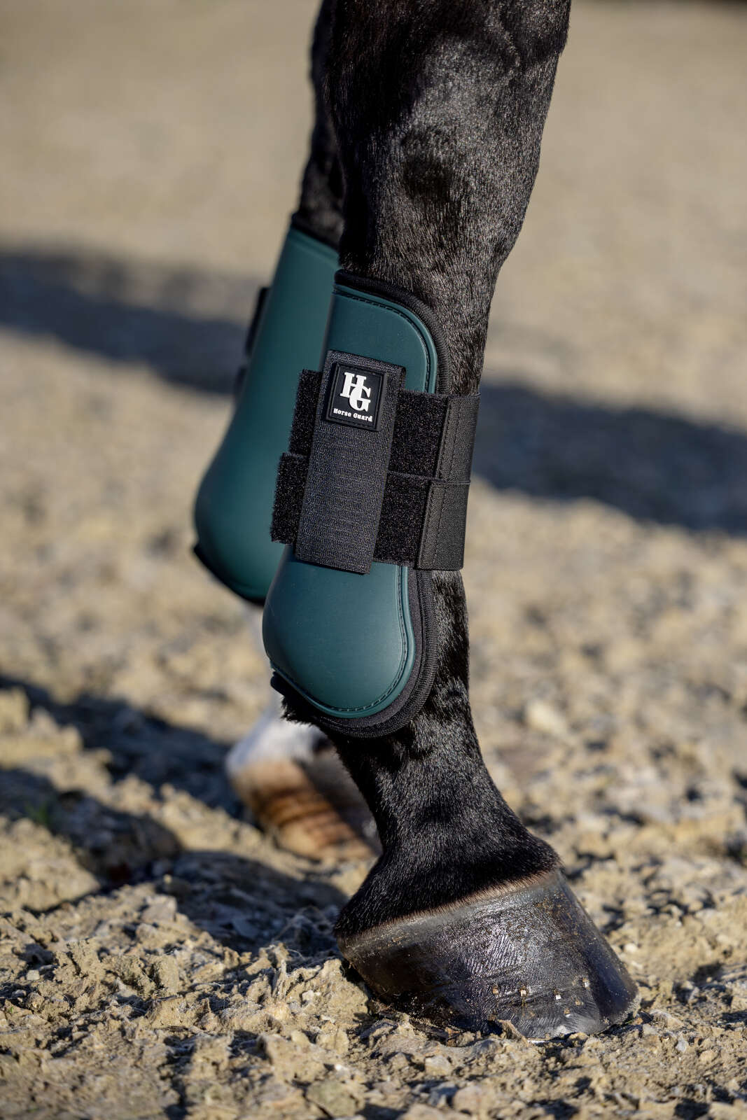 Horse Guard Timian tendon boots
