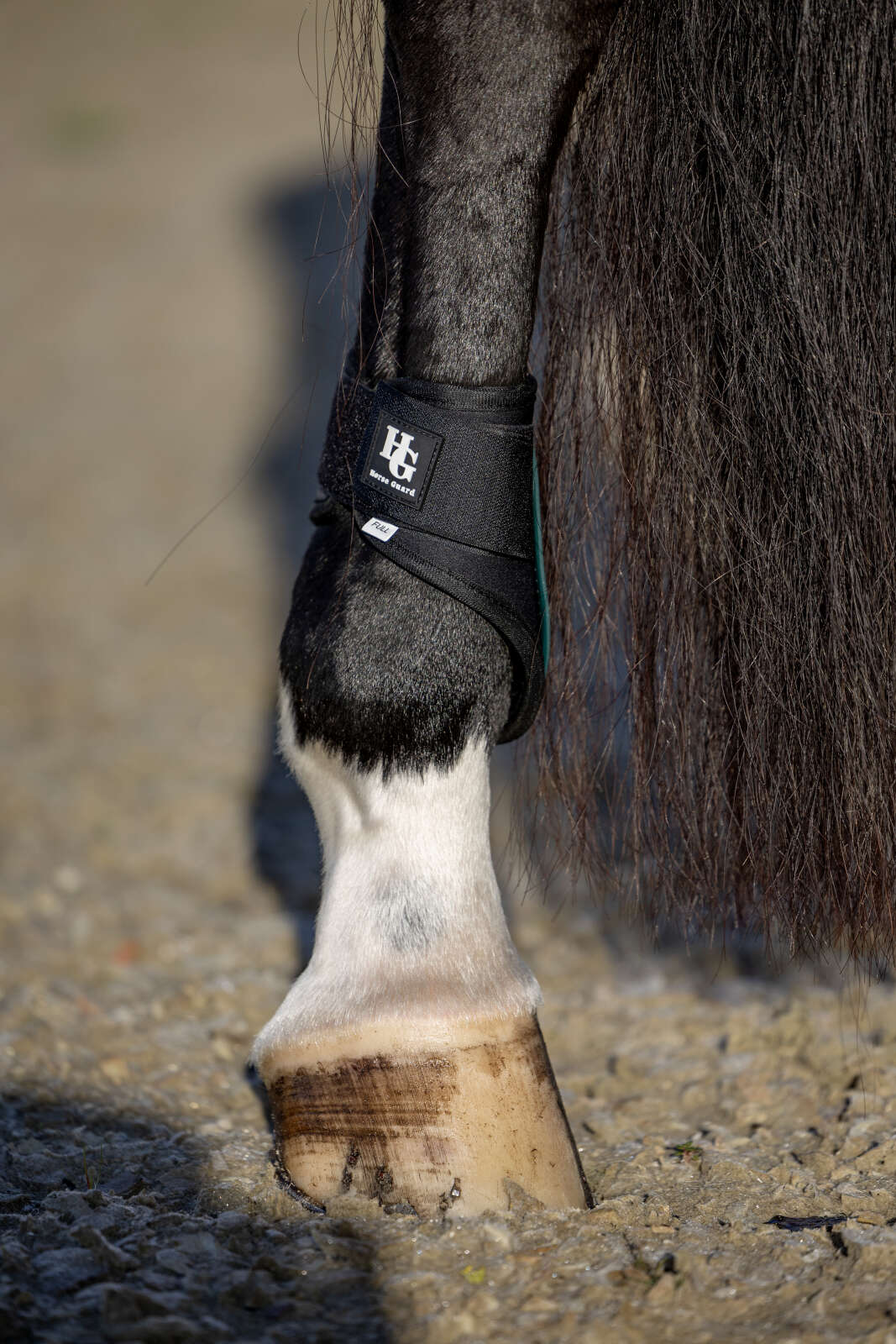 Horse Guard Tary bakbeinsbelegg