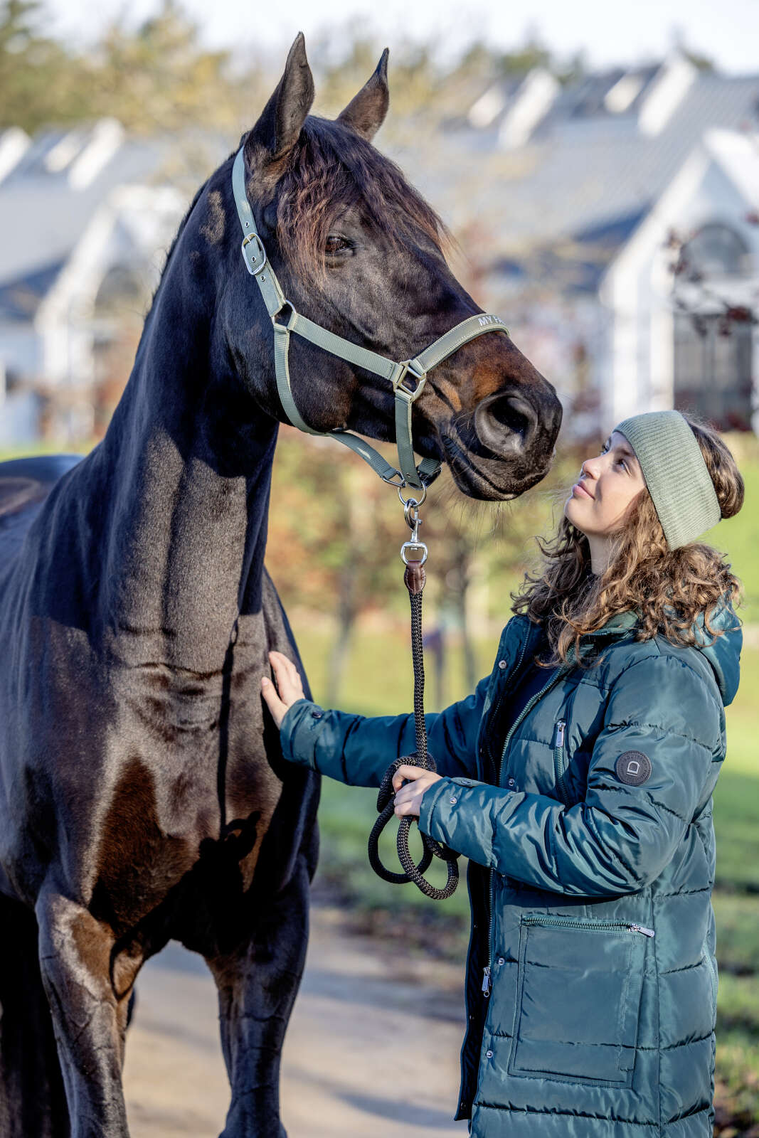 Horse Guard Malva grime "My Favorite"