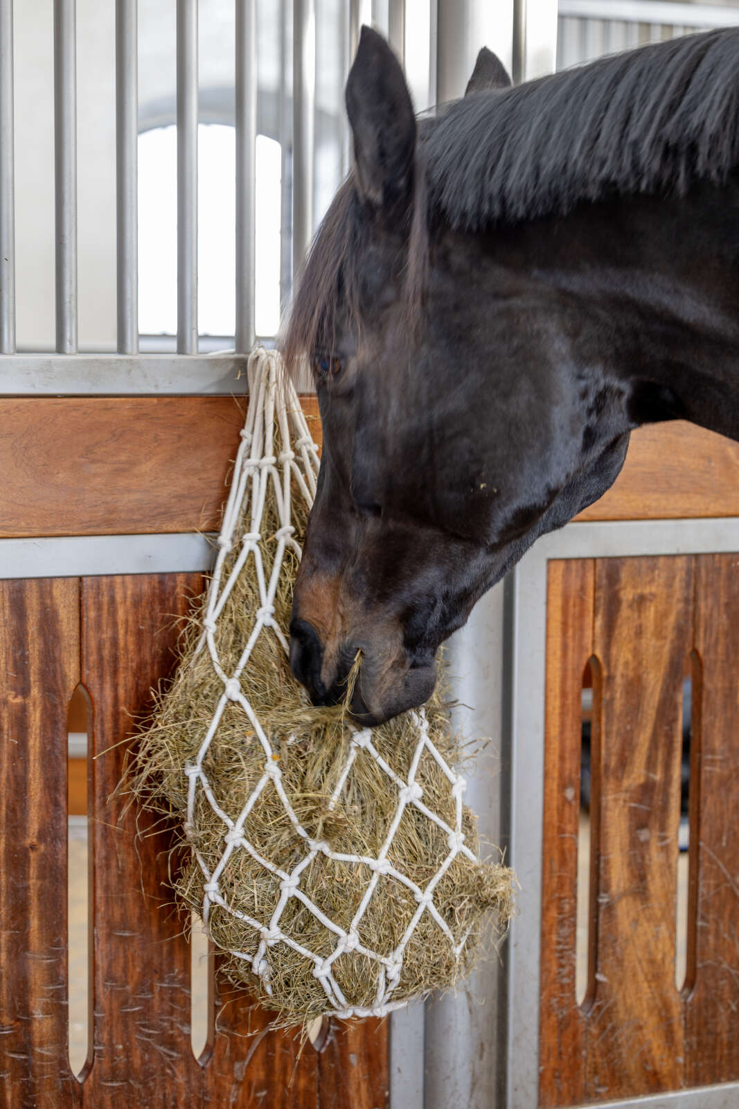 HorseGuard Cotton Hay net