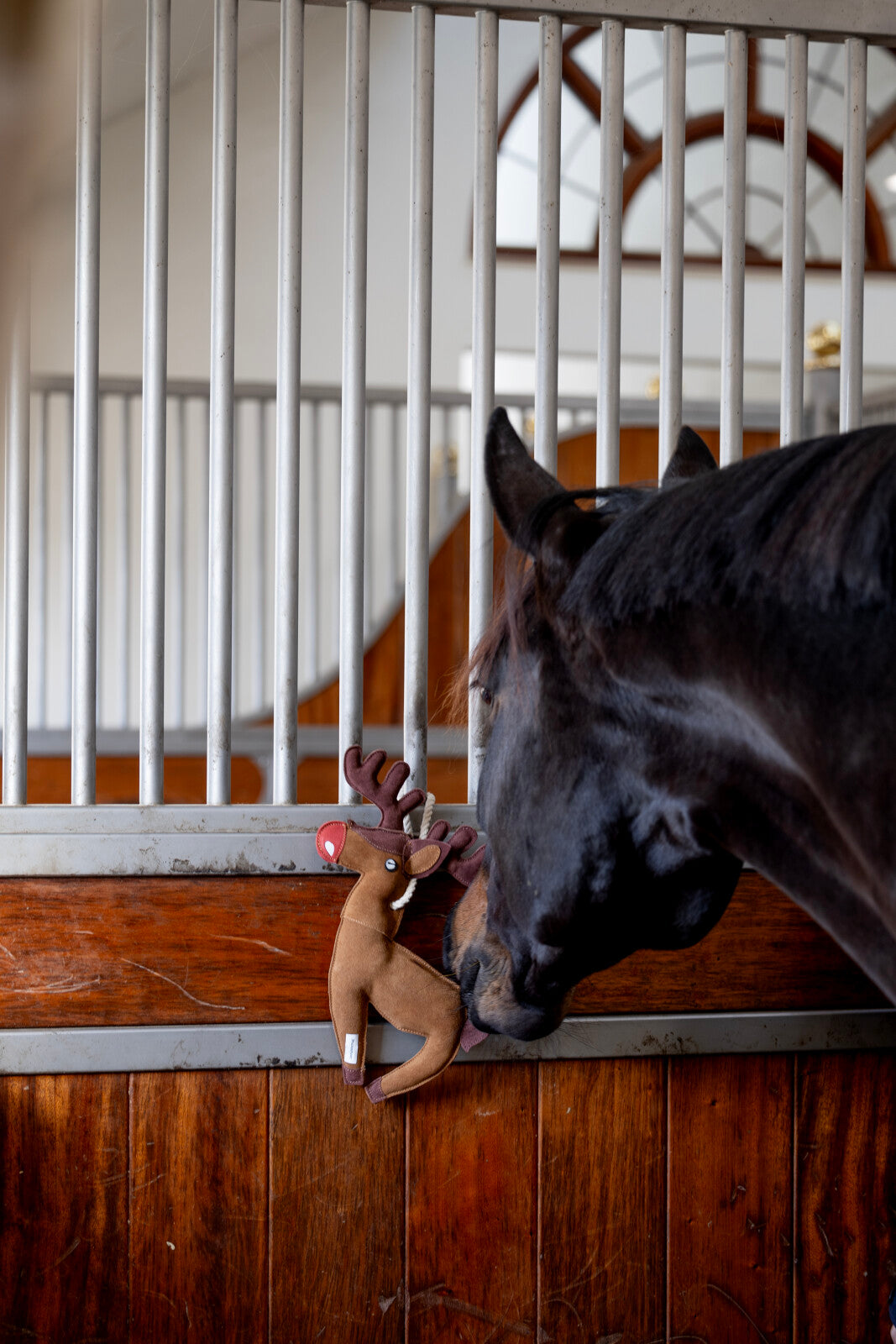 HorseGuard hestelegetøj Rensdyr