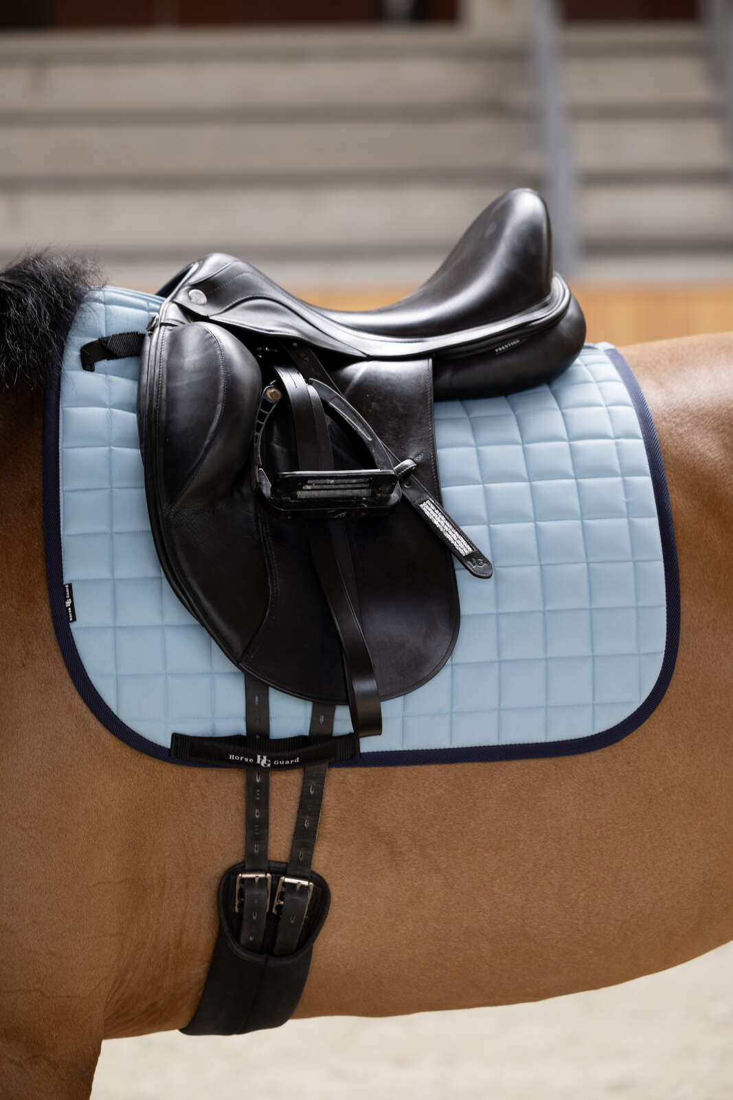 Horse Guard Alvi saddle pad, dressage