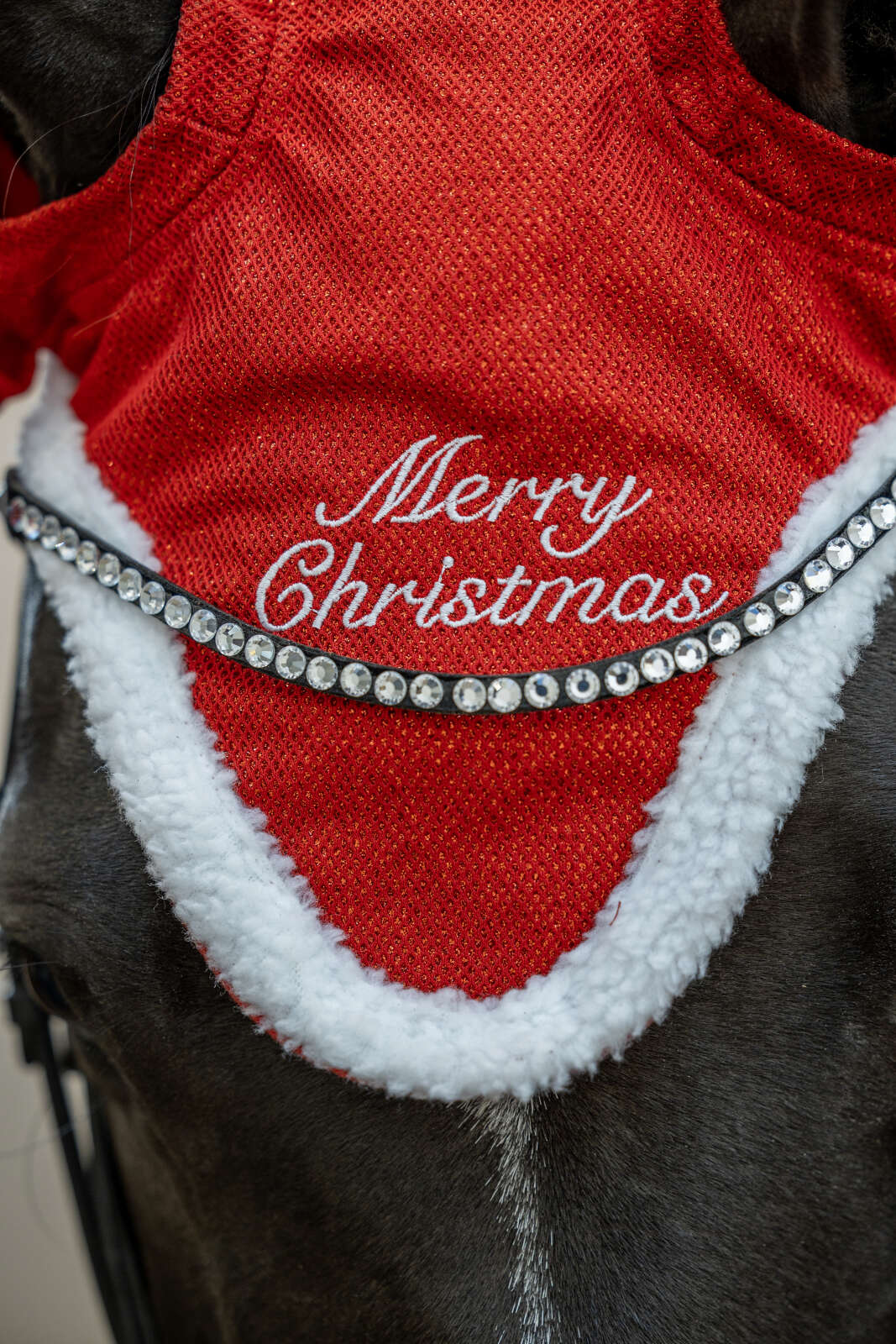 Horse Guard-Weihnachtsmannmütze mit Glitzer für Pferd