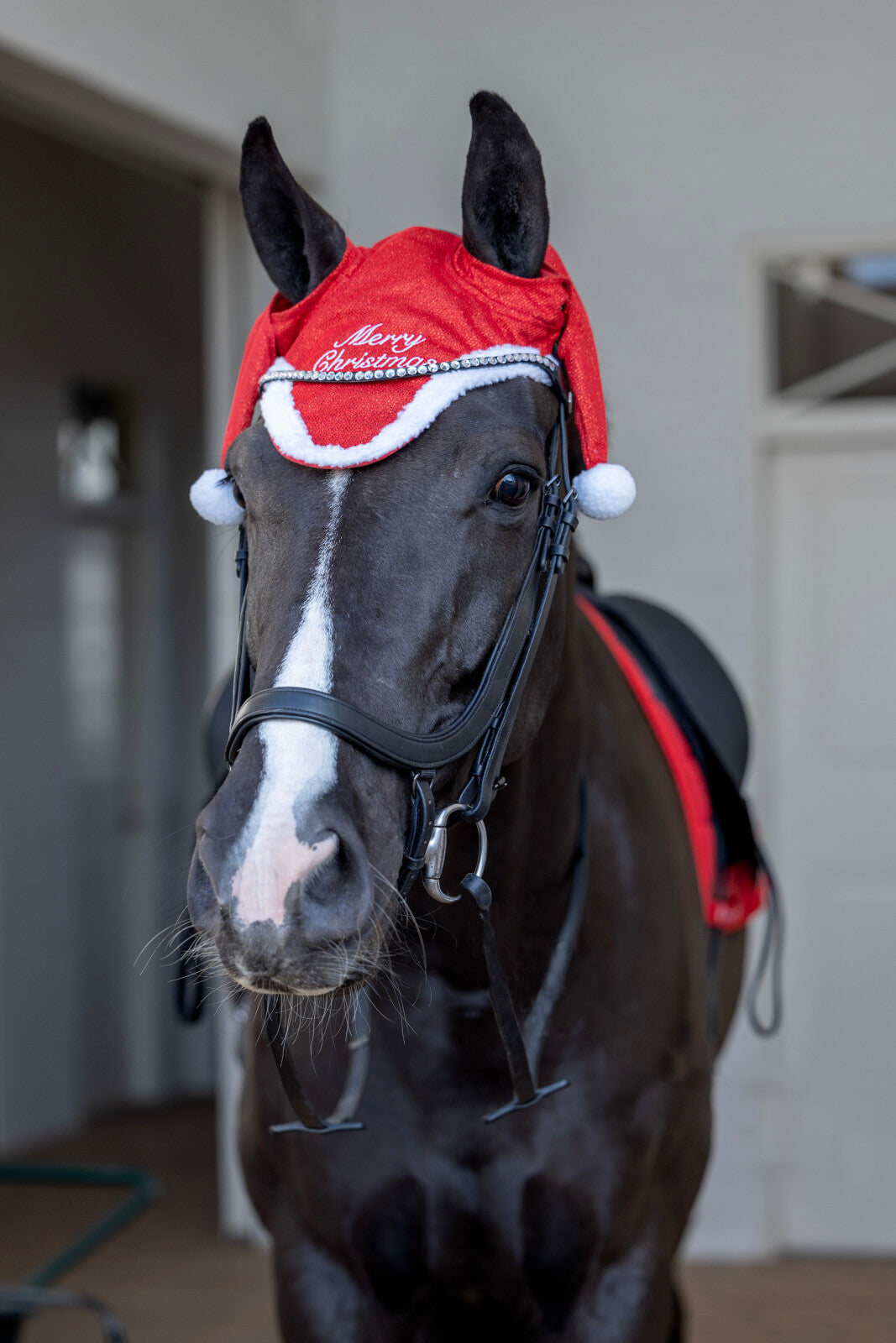 Horse Guard-nissehue m. glitter til hest