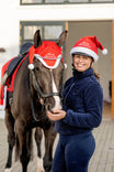 Horse Guard Christmas hat helmet cap w. glitter