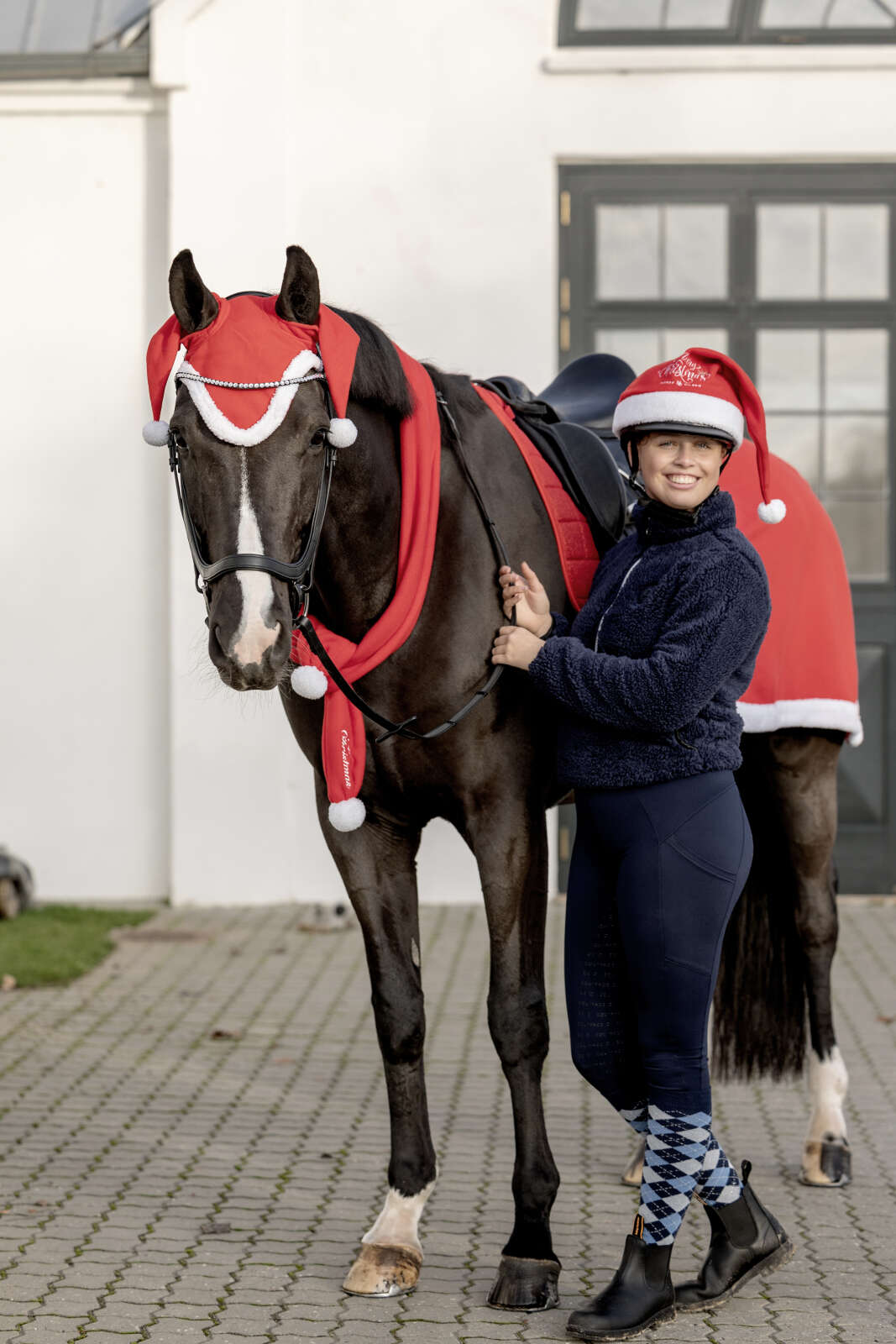 HorseGuard Weihnachts mütze für pferde