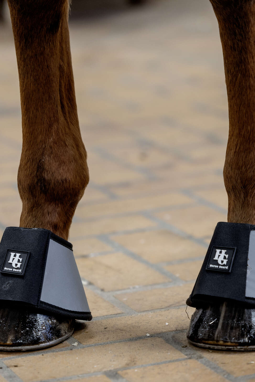 HorseGuard Totally Reflective Bell Boots