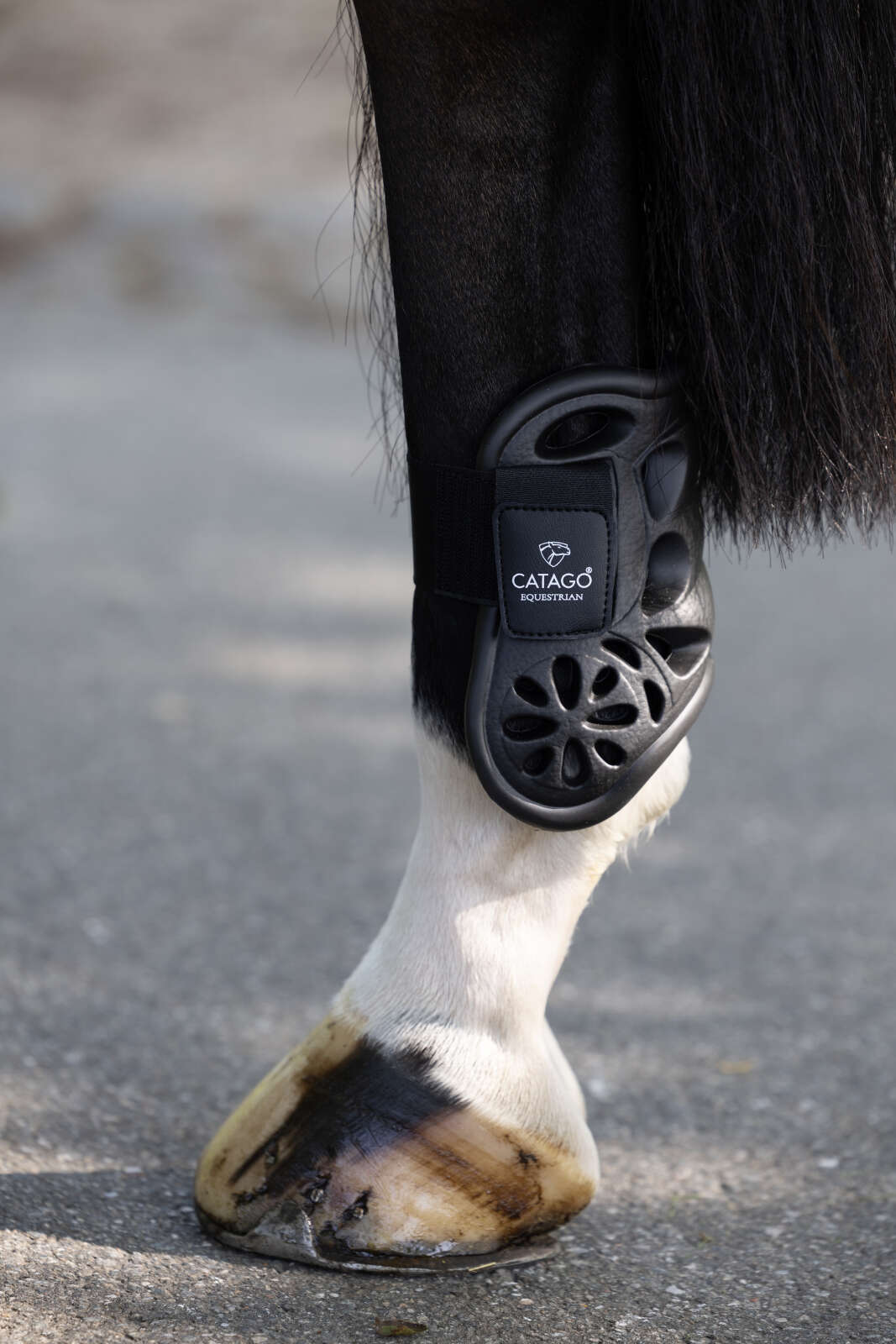 Catago Eva Streichkappen