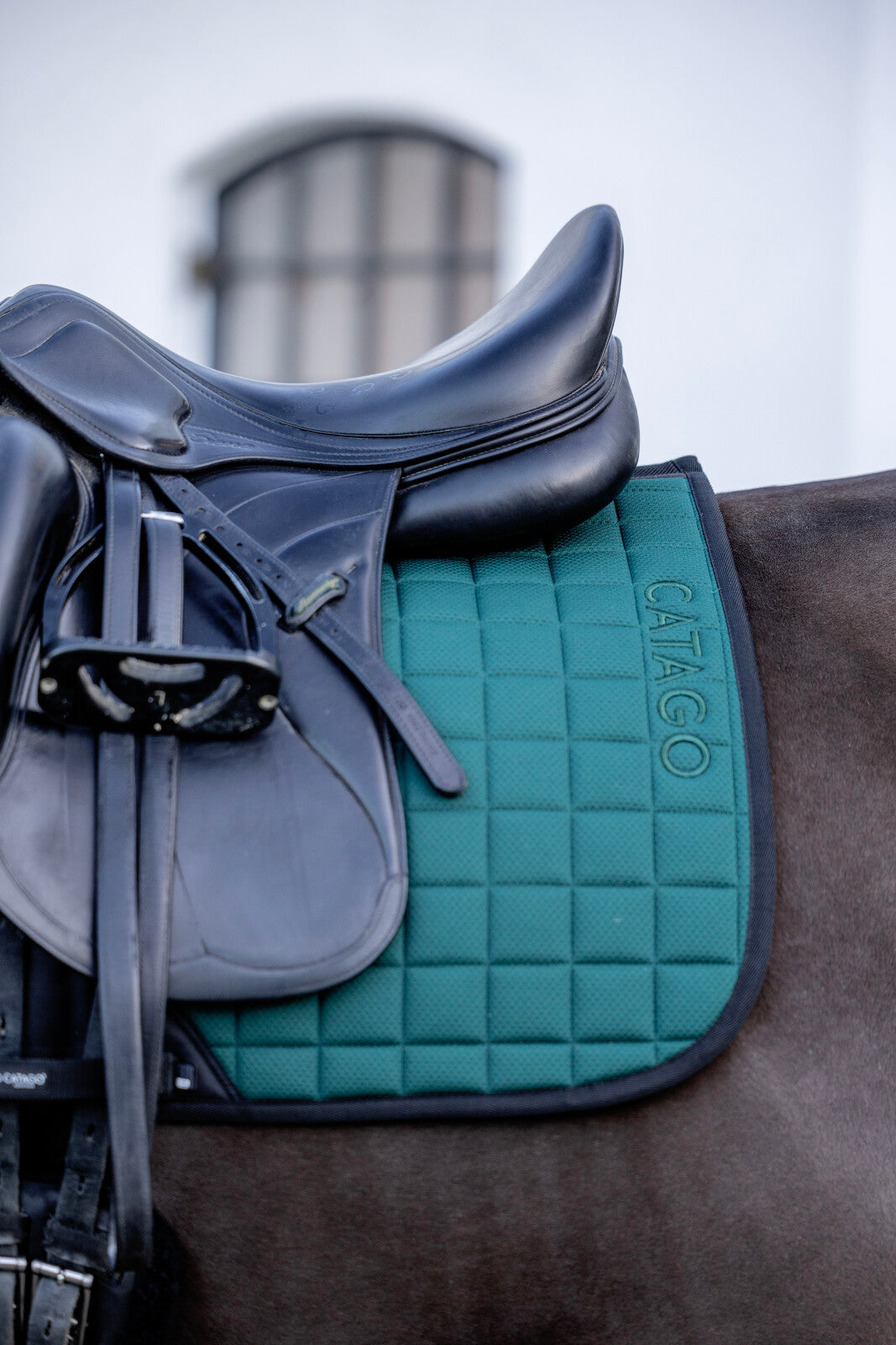 CATAGO FIR-Tech dressage saddle pad