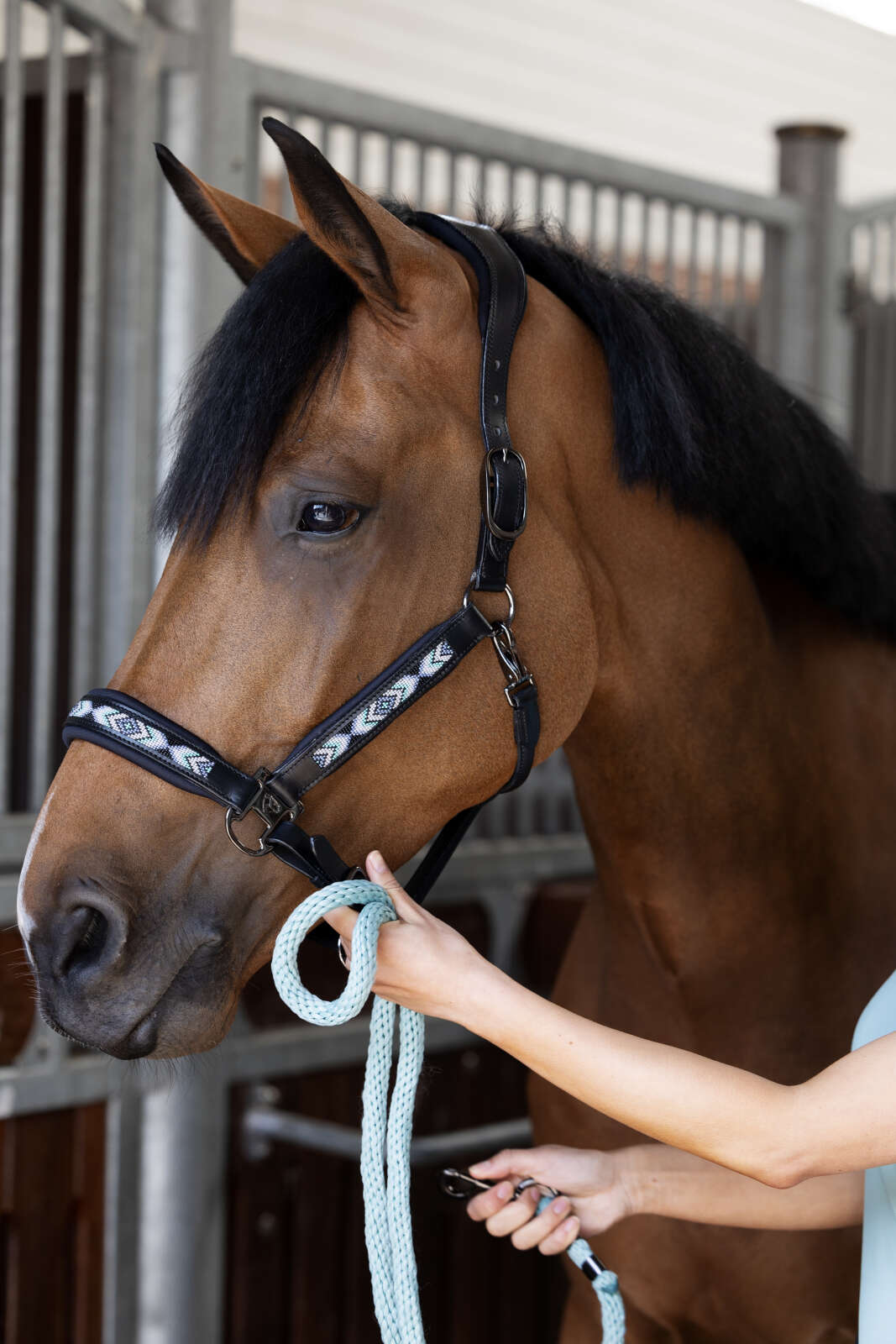 Catago Anamo halter leather, pearl pattern