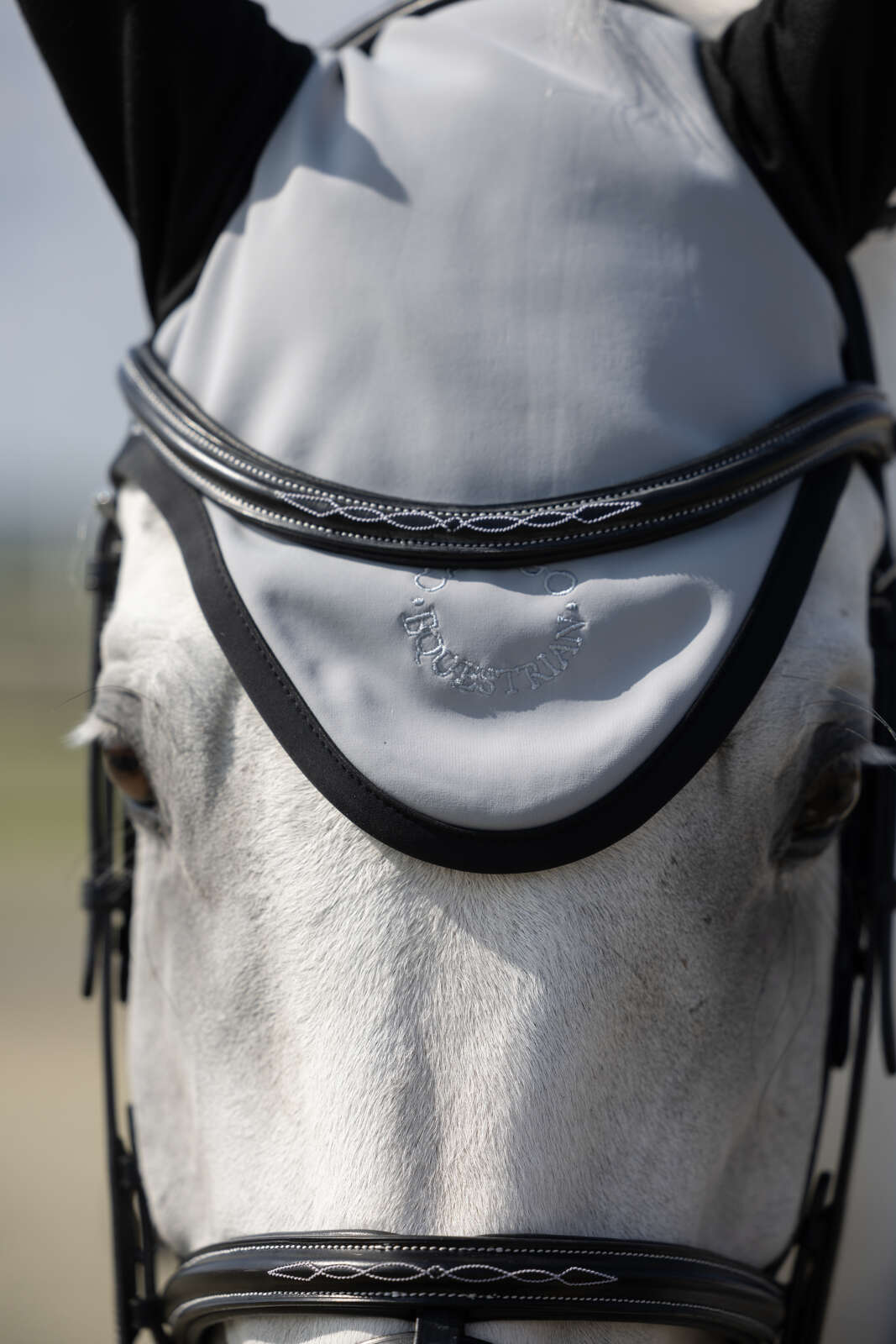 Catago FIR-Tech Grand 2.0 fly veil