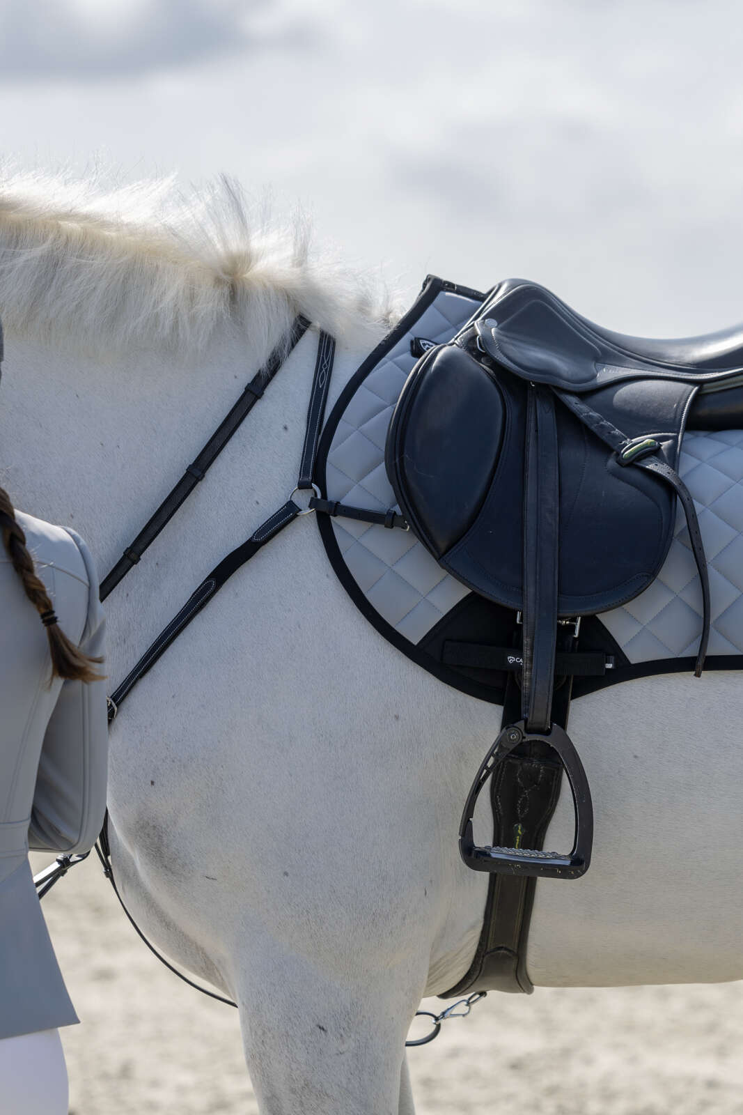 Catago FIR-Tech Grand 2.0 saddle pad, jumping